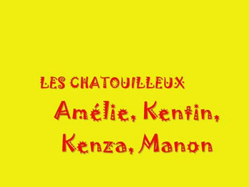 Chat marche