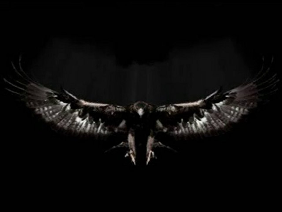 HAVE YOU EVER SEEN ANYTHING LIKE THIS