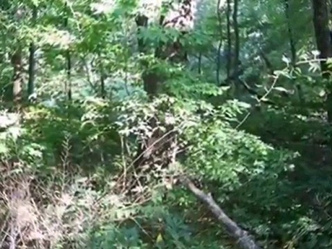 Homes for Sale - 311 Sunset Trl - Michiana Shores, IN 46360