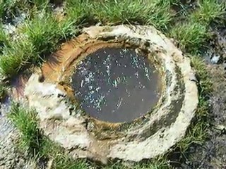 BOUDES - source de bard