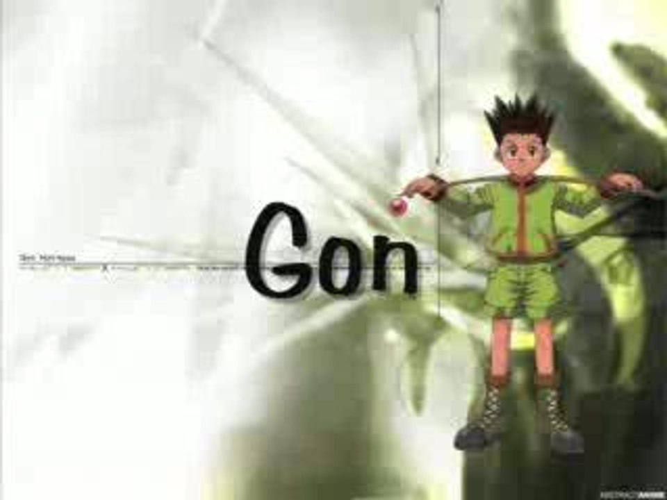 Hunter X Hunter