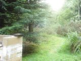 Memories - Centre Parcs - Longleat Forest