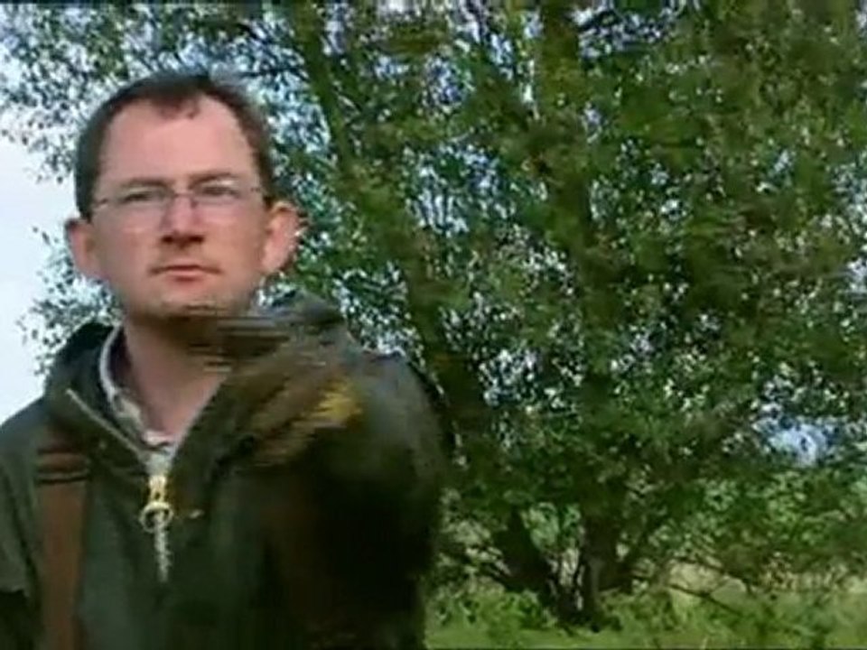 dino tueurs epis 2 2de partie