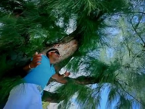 [CLIP ZOUK]JEAN MARIE RAGALD-LOVE DE VOU-2010