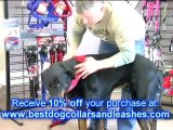 Dog Harnesses for Large Dogs | Large Dog Harness