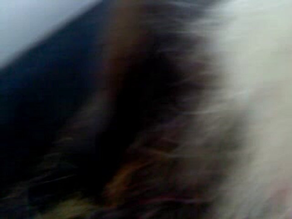 Mimi Wiwi... En route !!