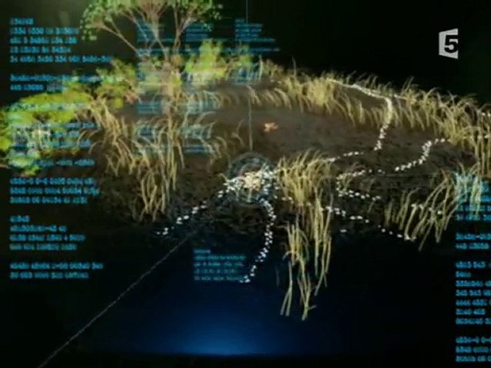 tueur des plaines africaines 1