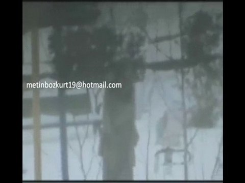 salvatore adamo* karlar düşer