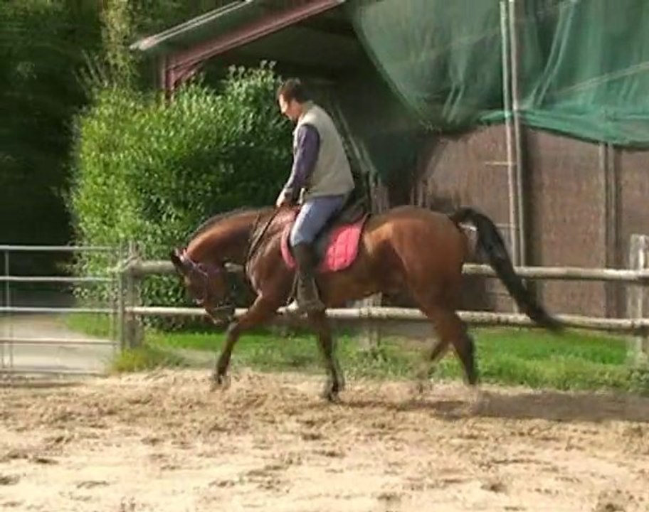 REMOUNT