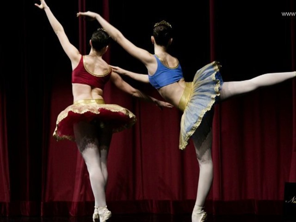 FFDANSE - CONCOURS  NATIONAL DANSE CLASSIQUE 2011