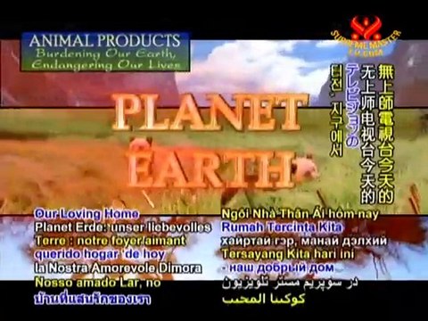 Animal Products: Burdening Our Earth, Endangering Our Lives