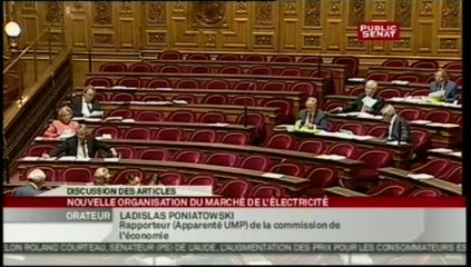 SEANCE,Examen du projet de loi sur la nouvelle origanisation du marché de l'électricité