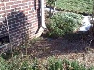 Charlotte Home Inspector Finds Downspout Trouble