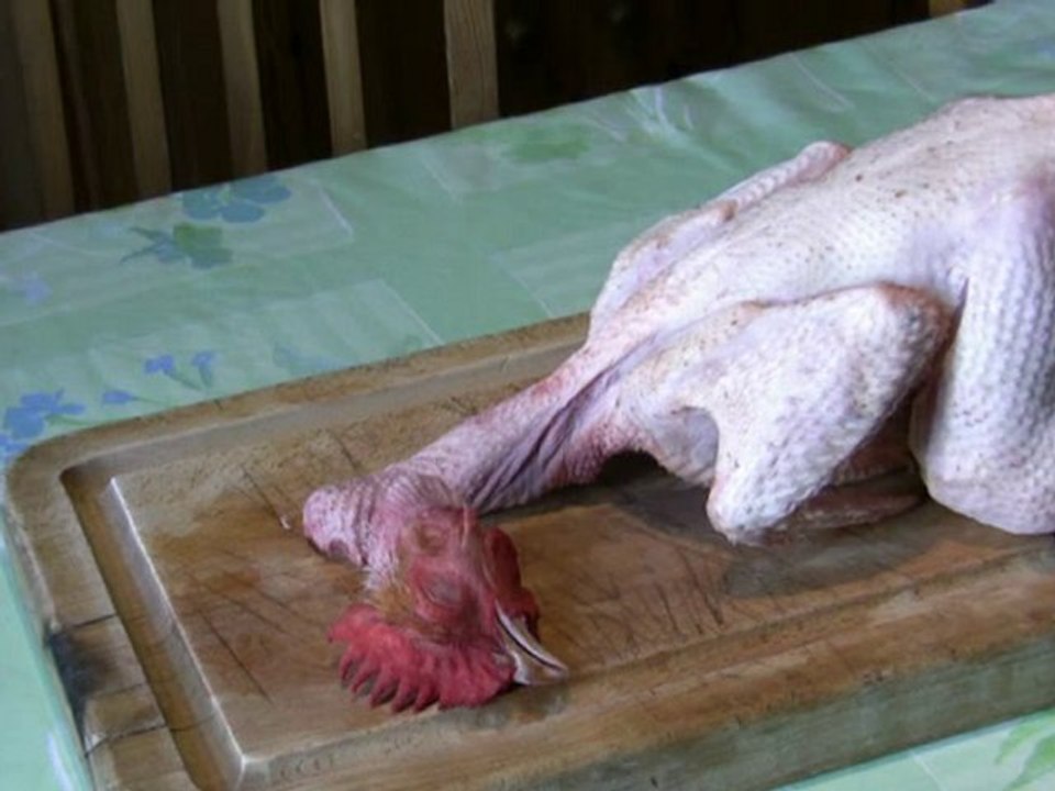 Tête de Poulet
