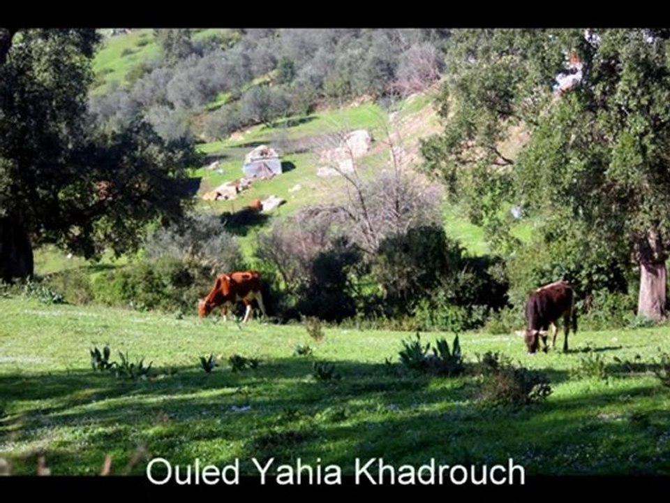 Wilaya de JIJEL : 28 Communes