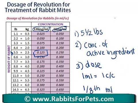 Rabbit Mites - Revolution Dosage for Rabbit Mites