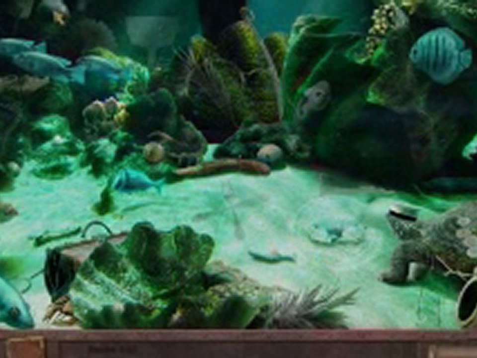 Enigmes et Objets Cachés: 20 000 Leagues under the Sea