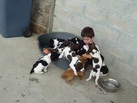 Gaultier & les Chiots - le 11 Septembre 2010