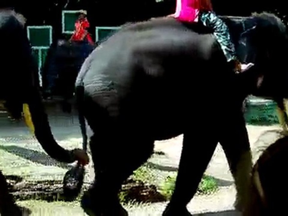 IMAG0094.MOV