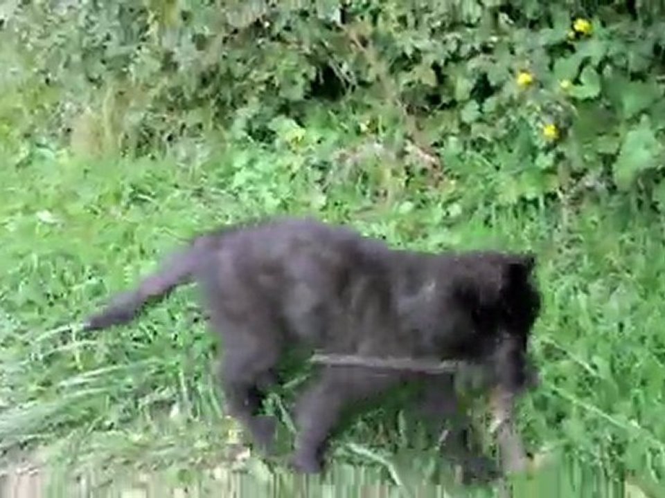 Jackpot du bois des mûres