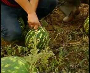 Ferhadanlı Köyü Belgeseli 5.Bölüm