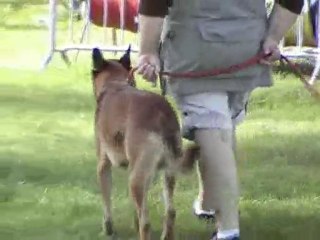 Loko Attacks - September 2010