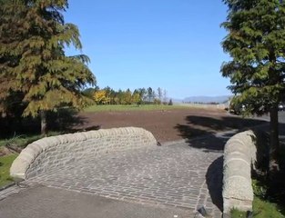 William Shanks Construction