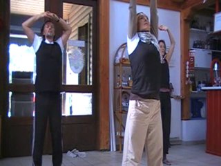 Qi gong des oies sauvages 1