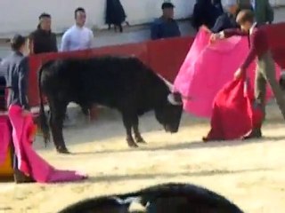 Graine de toréros GENERAC 2010 LA REALITE