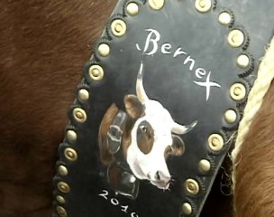 La démontagnée de Bernex