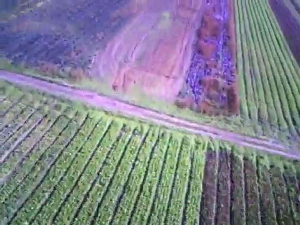 Sapac Wilga 2000 crash