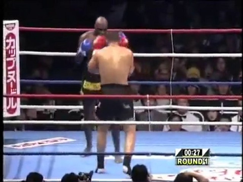 Ernesto Hoost - Low Kicks Highlight