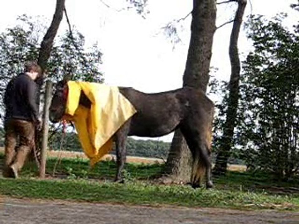 web dfi amiti cir jeune 10.10