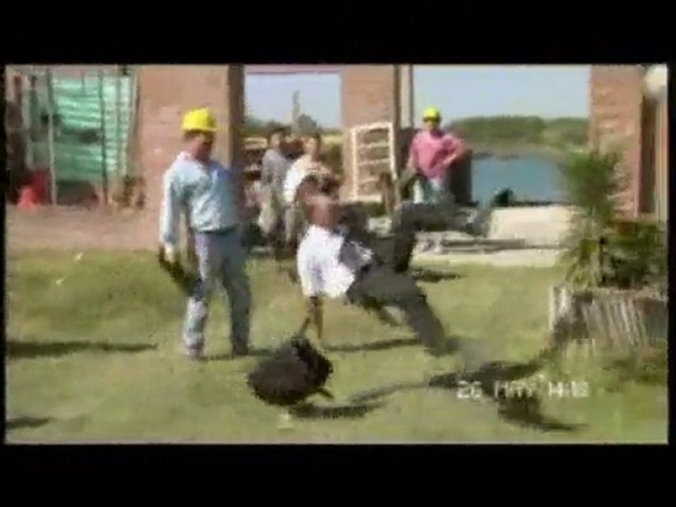 si c'est le chef qui le dit !