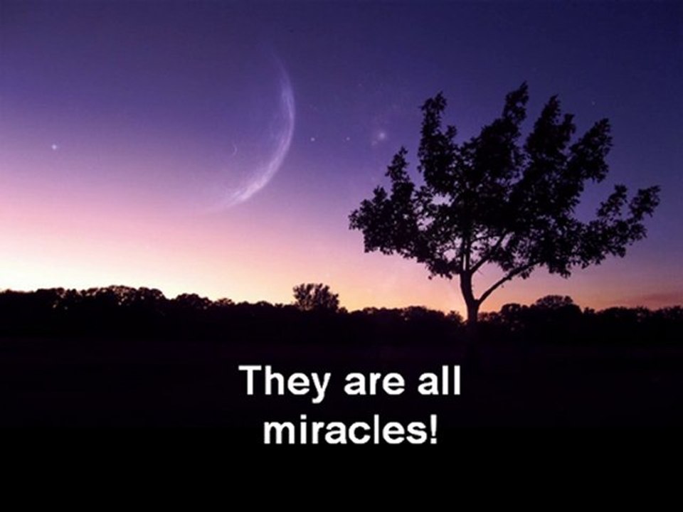 Thay are all miracle!