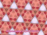Lapsus Groove