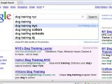 Finding Long Tail Keywords Using Instant Search