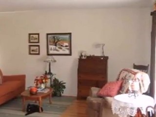 Homes for Sale - 15317 Walnut Rd - Oak Forest, IL 60452 - Co