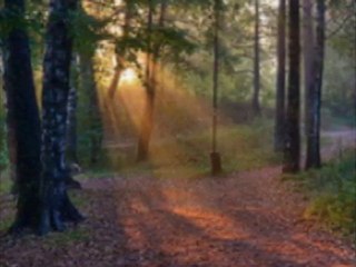 Gülsen Varol  (tango)