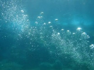 çeşme sualtı görüntüleri