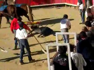 Graine de toréros Générac 2010 ... quel respect !!