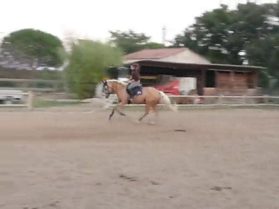 qumba la rouviere oct 2010 galop