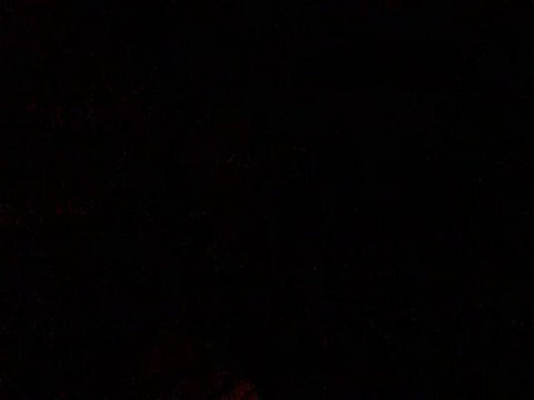 Gökhan NERGÜZ ''Yeşil Yaprak Arasında Kırmızı Gül Goncesi''