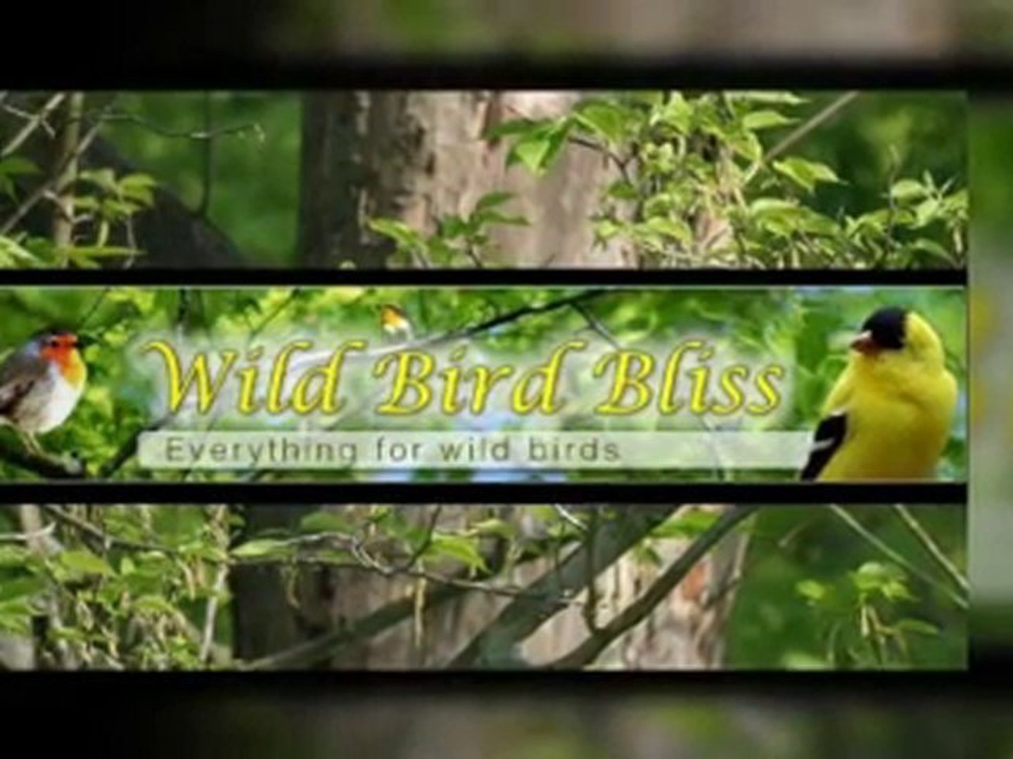 Opus Avant Garden Bird Bath Video Dailymotion
