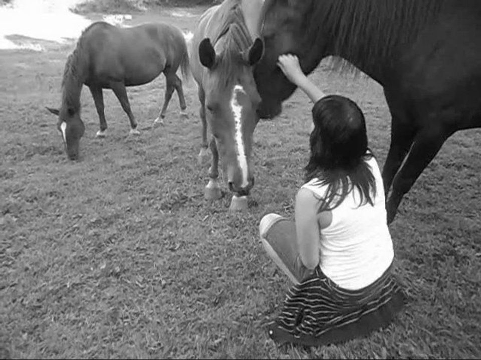 Tout est fini ... ♥