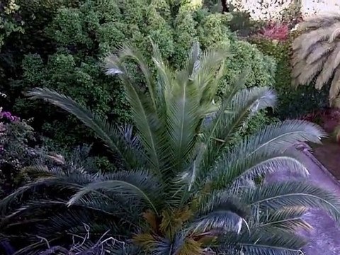 De VilleFranche sur Mer à Nice