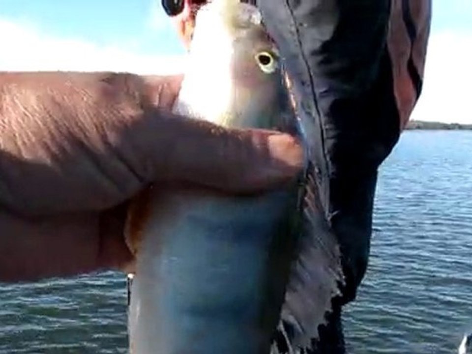 DOGAN-FIKRET BALIK AVI  01.10.2010 006