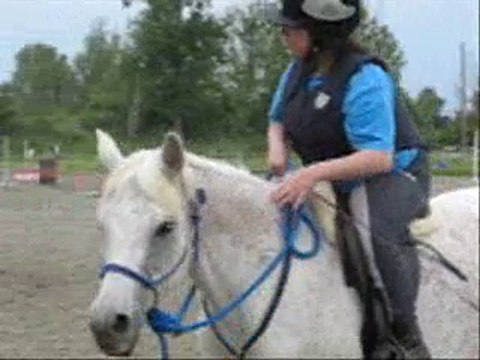 Séance en licol 11 JUIN 2010 Ecurie de Begorre