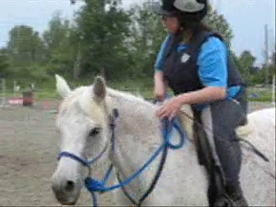 Séance en licol 11 JUIN 2010 Ecurie de Begorre