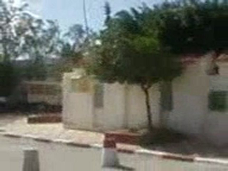 ouled chamekh avenue borguiba